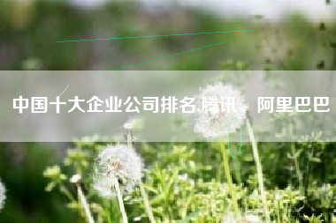中国十大企业公司排名,腾讯、阿里巴巴