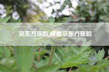 京东方医院,成都京东方医院