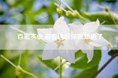 百宏实业,看看这些你就知道了