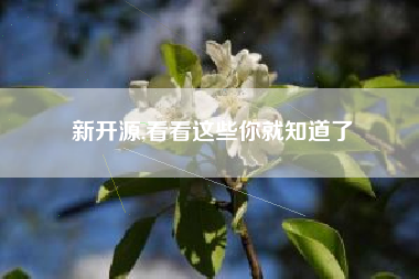 新开源,看看这些你就知道了