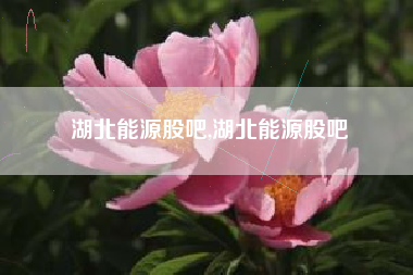湖北能源股吧,湖北能源股吧