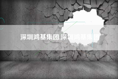 深圳鸿基集团,深圳鸿基集团
