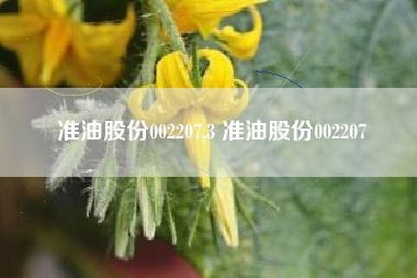 准油股份002207,3 准油股份002207