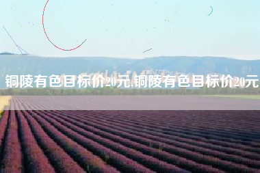 铜陵有色目标价20元,铜陵有色目标价20元