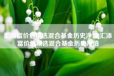 汇添富价值精选混合基金历史净值,汇添富价值精选混合基金历史净值