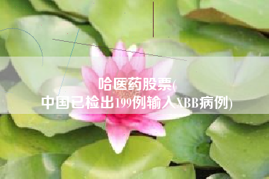 哈医药股票(
中国已检出199例输入XBB病例)