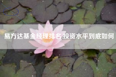易方达基金经理排名,投资水平到底如何