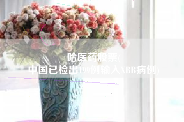 哈医药股票(
中国已检出199例输入XBB病例)