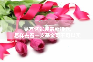 易方达张坤最新持仓,
怎样去看一支基金可不可以买