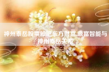 神州泰岳股票股吧东方财富,鼎富智能与神州泰岳关系
