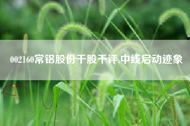 002160常铝股份千股千评,中线启动迹象