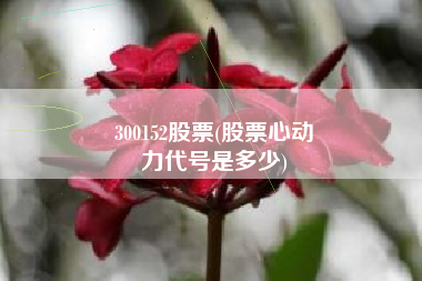 300152股票(股票心动
力代号是多少) 300152股票(股票心动
力代号是多少)