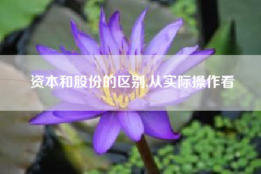 资本和股份的区别,从实际操作看