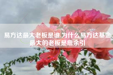 易方达最大老板是谁,为什么易方达基金最大的老板是詹余引