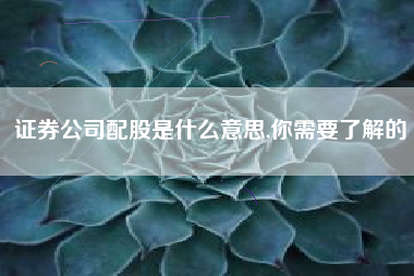 证券公司配股是什么意思,你需要了解的