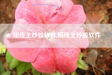 短线王炒股软件,短线王炒股软件