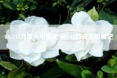 605118力鼎光电股吧,605118力鼎光电股吧
