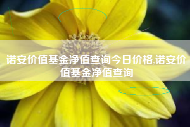 诺安价值基金净值查询今日价格,诺安价值基金净值查询