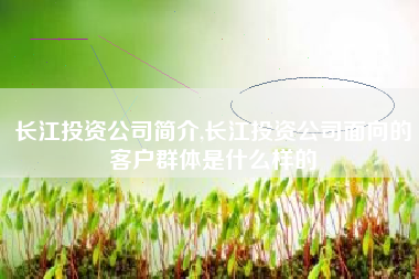 长江投资公司简介,长江投资公司面向的客户群体是什么样的