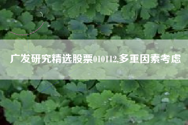 广发研究精选股票010112,多重因素考虑