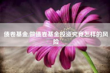 债卷基金,做债卷基金投资究竟怎样的风险