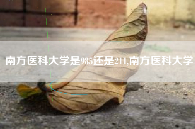 南方医科大学是985还是211,南方医科大学