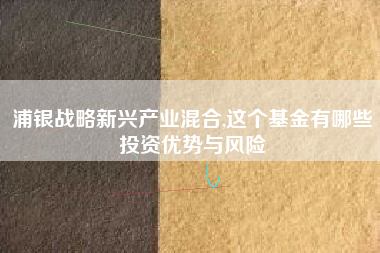 浦银战略新兴产业混合,这个基金有哪些投资优势与风险