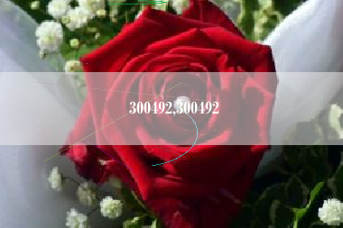 300492,300492
