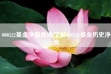 000522基金净值查询,了解000522基金历史净值