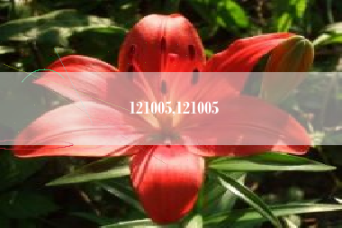 121005,121005