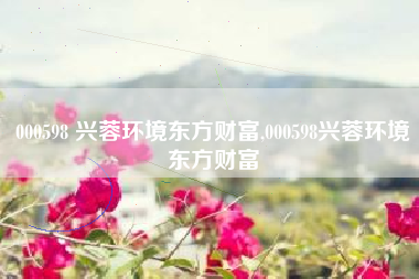 000598 兴蓉环境东方财富,000598兴蓉环境东方财富