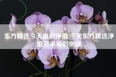 东方精选今天最新净值,今天东方精选净值迎来新的突破