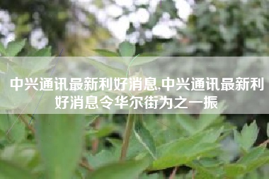中兴通讯最新利好消息,中兴通讯最新利好消息令华尔街为之一振