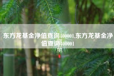 东方龙基金净值查询400001,东方龙基金净值查询400001