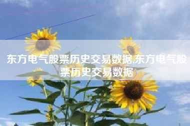 东方电气股票历史交易数据,东方电气股票历史交易数据