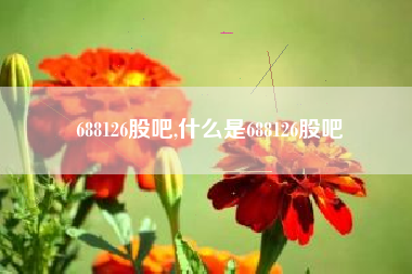 688126股吧,什么是688126股吧