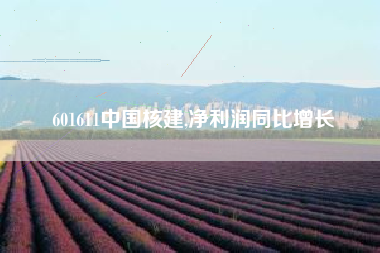 601611中国核建,净利润同比增长
