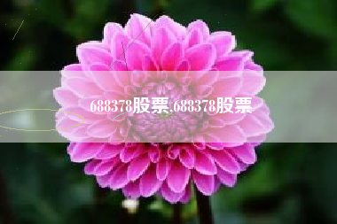 688378股票,688378股票