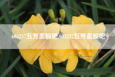 603237五芳斋股吧,603237五芳斋股吧