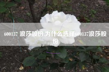 600137 浪莎股份,为什么选择600137浪莎股份