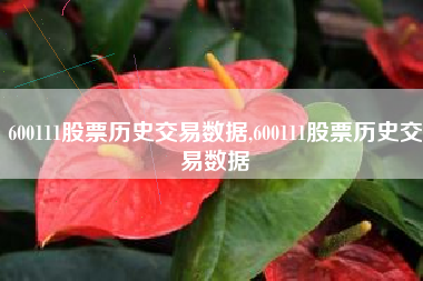 600111股票历史交易数据,600111股票历史交易数据
