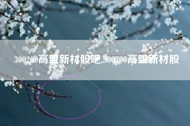 300200高盟新材股吧,300200高盟新材股
