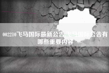 002210飞马国际最新公告,飞马国际公告有哪些重要内容