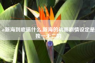 st新海到底搞什么,新海的动画剧情设定是独一无二的