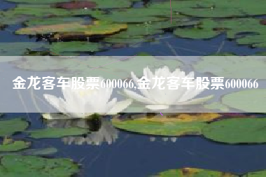 金龙客车股票600066,金龙客车股票600066