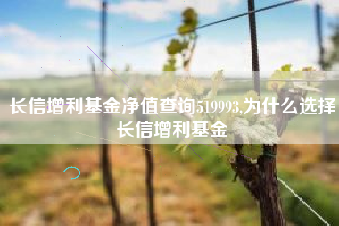长信增利基金净值查询519993,为什么选择长信增利基金