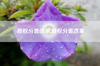 股权分置改革,股权分置改革