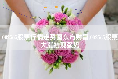 002565股票行情走势图东方财富,002565股票大涨初现强势