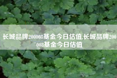 长城品牌200008基金今日估值,长城品牌200008基金今日估值
