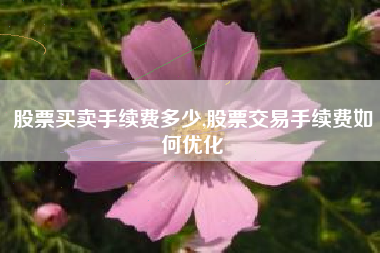 股票买卖手续费多少,股票交易手续费如何优化